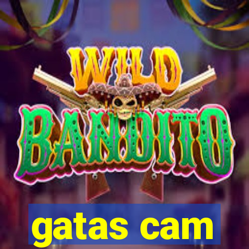 gatas cam